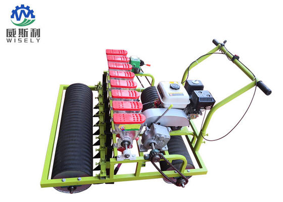 Çin Benzinli Motor 8 Sıralı Yeşil Salata Dikim Makineleri Tedarikçi